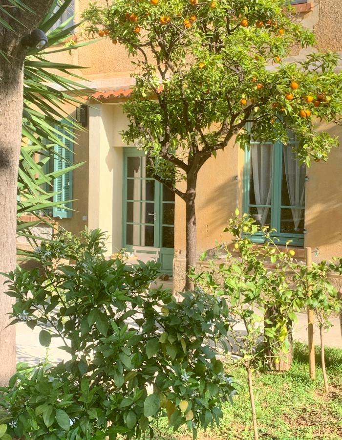La Villa Des Amandiers Hyères Dış mekan fotoğraf