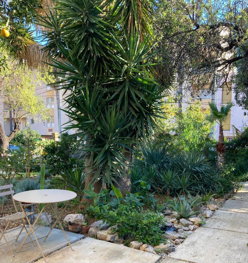 La Villa Des Amandiers Hyères Dış mekan fotoğraf