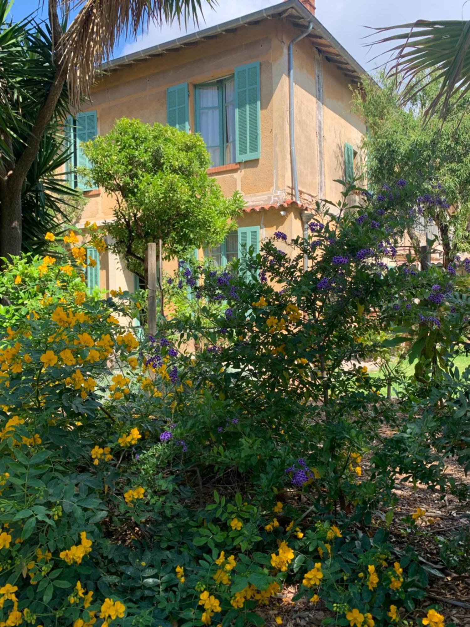 La Villa Des Amandiers Hyères Dış mekan fotoğraf